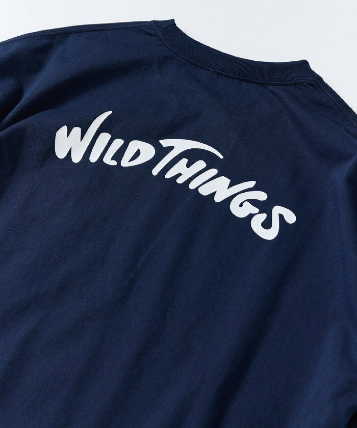 WILD THINGS×FREAK'S STORE / 別注 バックアーチロゴ ワンポイント刺繍 クルーネックポケットTシャツ 【限定展開】